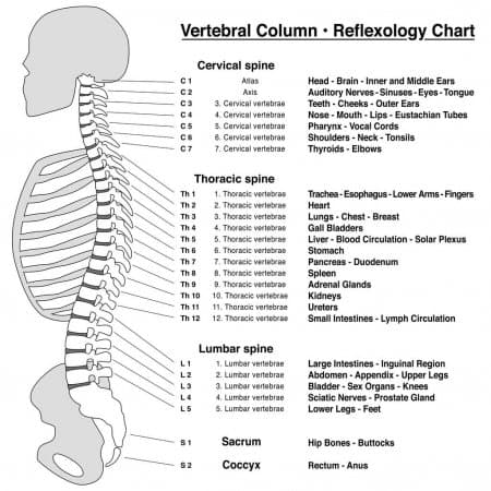 Reflexology and back pain, spinal pressure pointchart