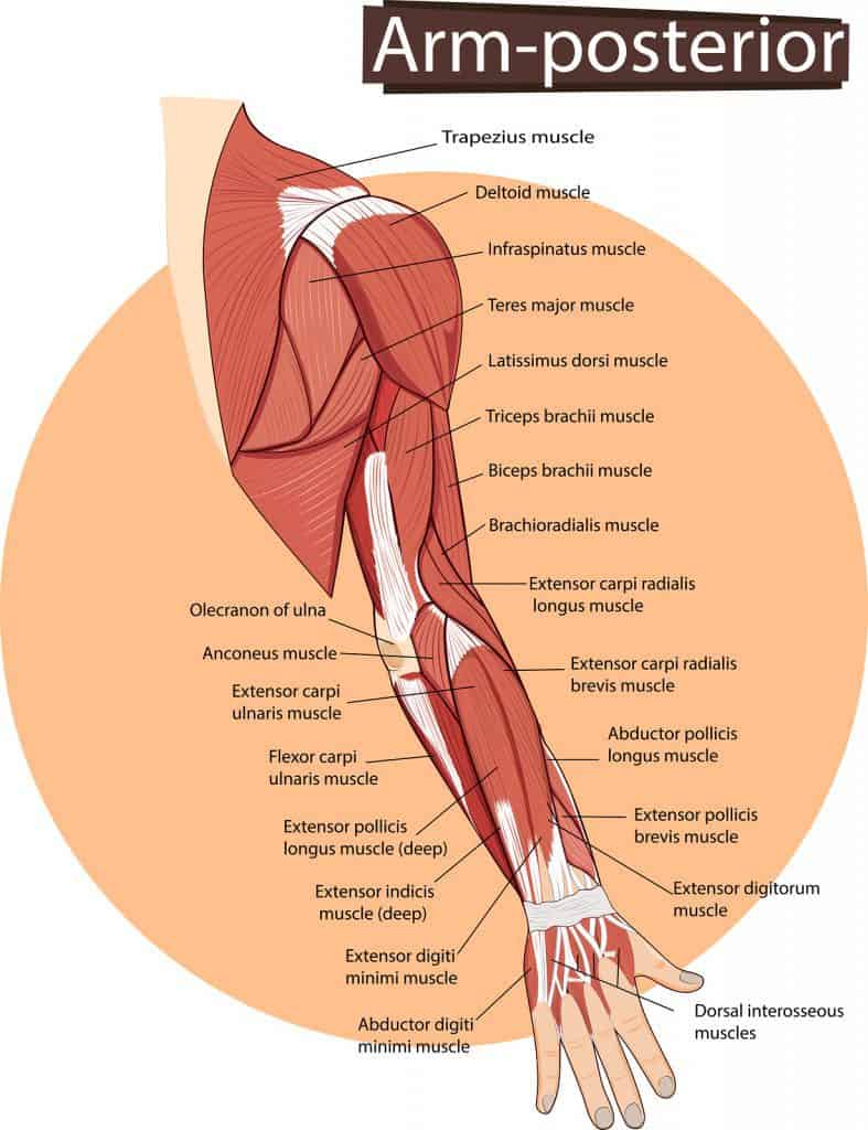 Trigger point therapy essential feeling massage romford essex