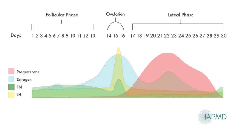 Learn How To Read Your Internal Ovulation Calculator Essential Feeling   HormoneCycleGraph 